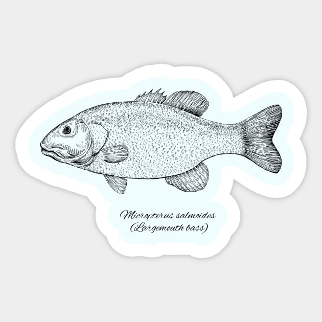 micropterus salmoides Sticker by eugeniahauss